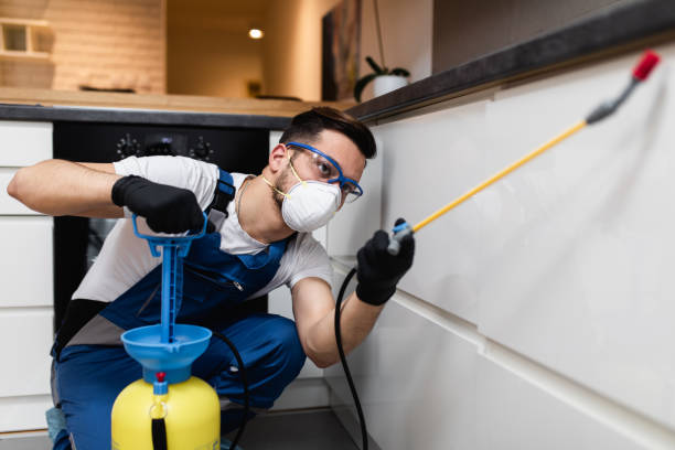Pest Prevention Services in Lake Norman Of Catawba, NC