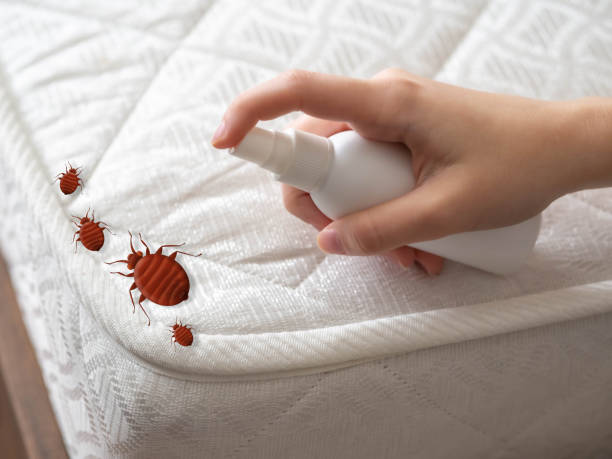 Best Best Pest Control Companies  in Lake Norman Of Catawba, NC