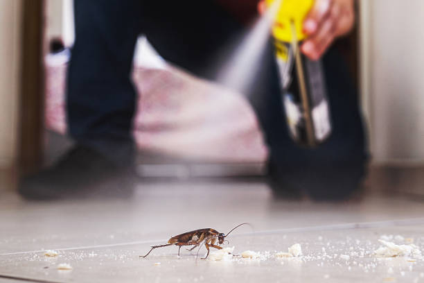 Flea Control Services in Lake Norman Of Catawba, NC