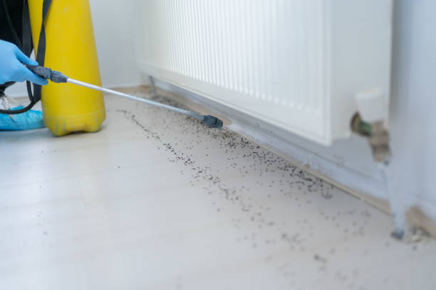 Best Pest Prevention Services  in Lake Norman Of Catawba, NC