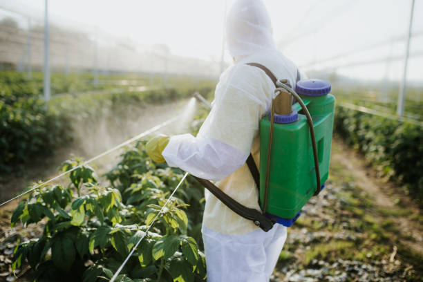 Reliable Lake Norman Of Catawba, NC Pest Control Solutions